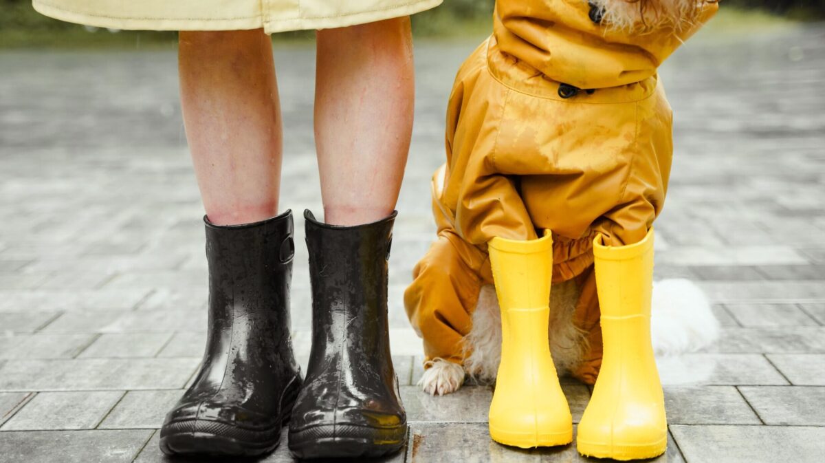 長靴と雨ガッパを着た女の子と犬